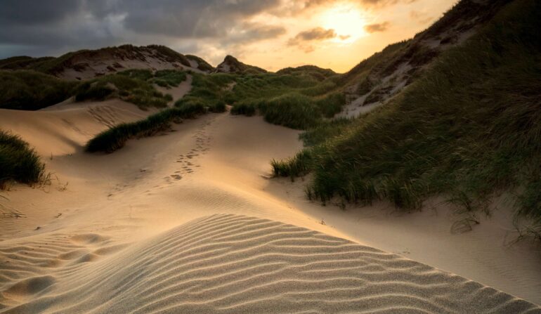 Comment la dune du Pilat se déplace vers l’est et engloutit les forêts